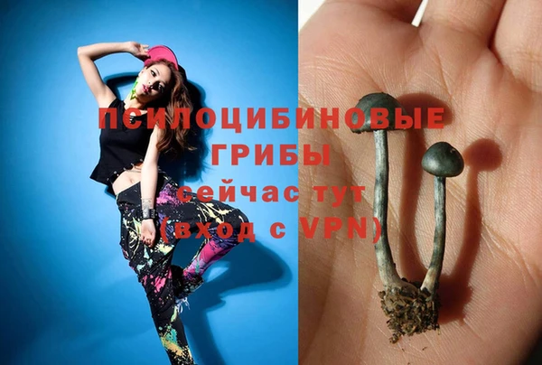 mdpv Белокуриха