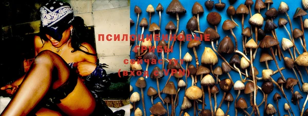 a pvp Баксан