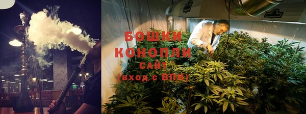 mdpv Белокуриха