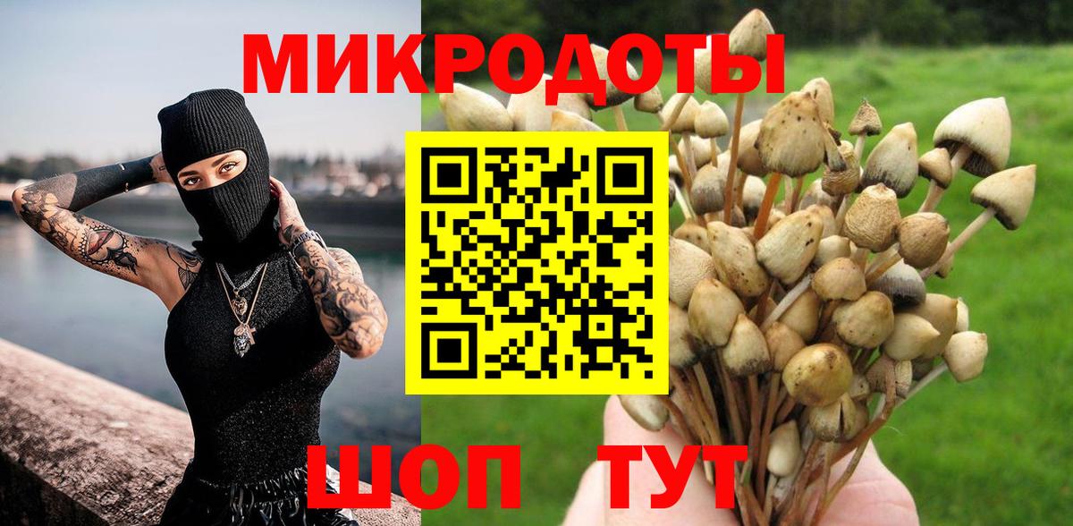 Псилоцибиновые грибы Cubensis Печора